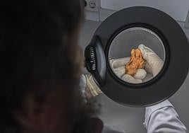 Una investigadora revisa con una lupa la figura de sirena, realizada en coral, hallada en los fondos del Arqua.