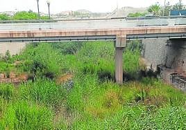 Estado actual del cauce del río Mula.