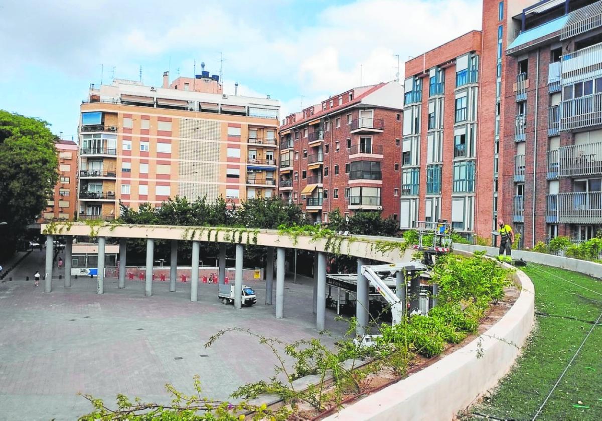 Cubierta vegetal de la plaza de la Universidad.