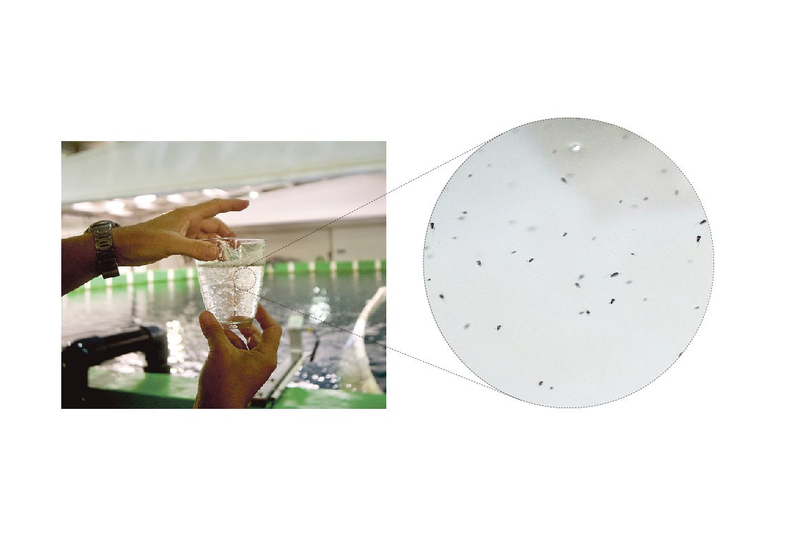 Scroll Story imagen 1