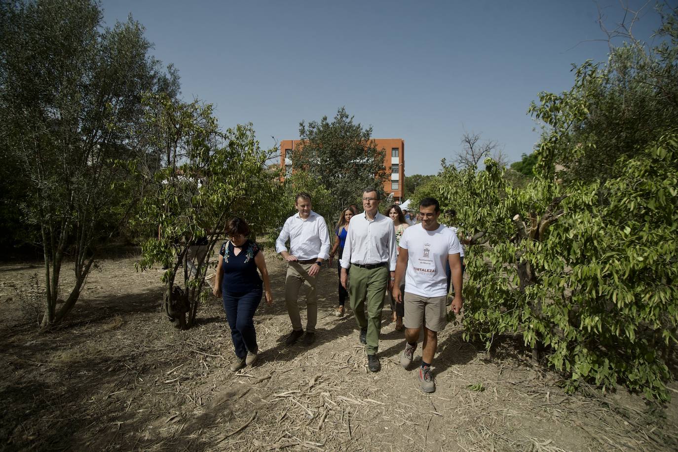 Así avanzan los trabajos en el Castillejo de Monteagudo