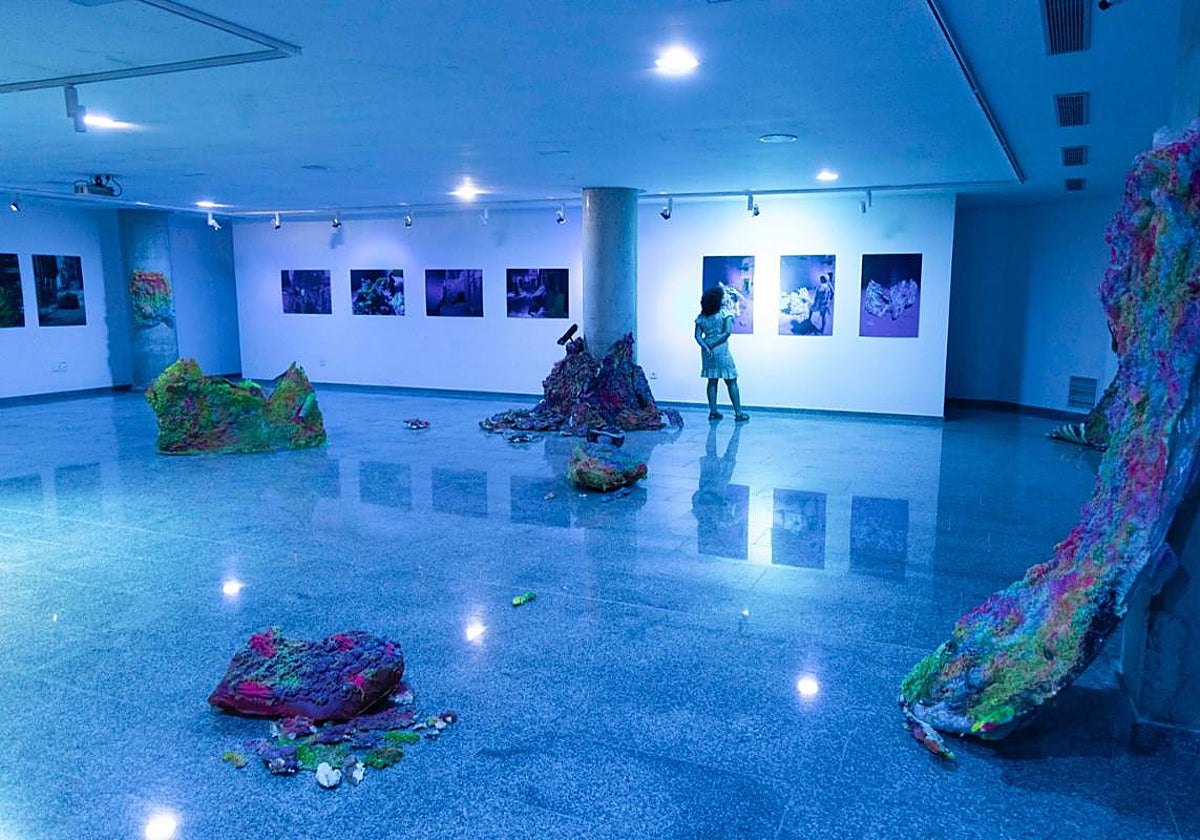 La muestra 'In Situ' de Coco Guzmán y Catalina García se ubica en la sala Dora Catarineu.