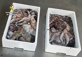 Las dos cajas intervenidas.