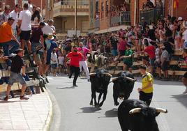 Celebración del cuarto encierro de Blanca, este martes.