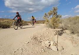 Dos ciclistas pasan junto a una de las zonas reforestadas con pinos, cerca de la playa de La Grúa.