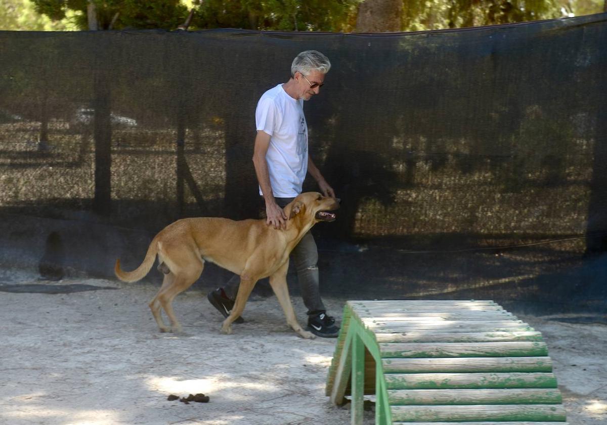 El presidente de Anerpa, Javier Rodellar, con uno de los perros del albergue de Alguazas.