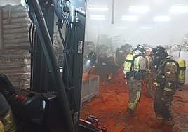 Efectivos de bomberos trabajan en la nave de pimentón afectada.