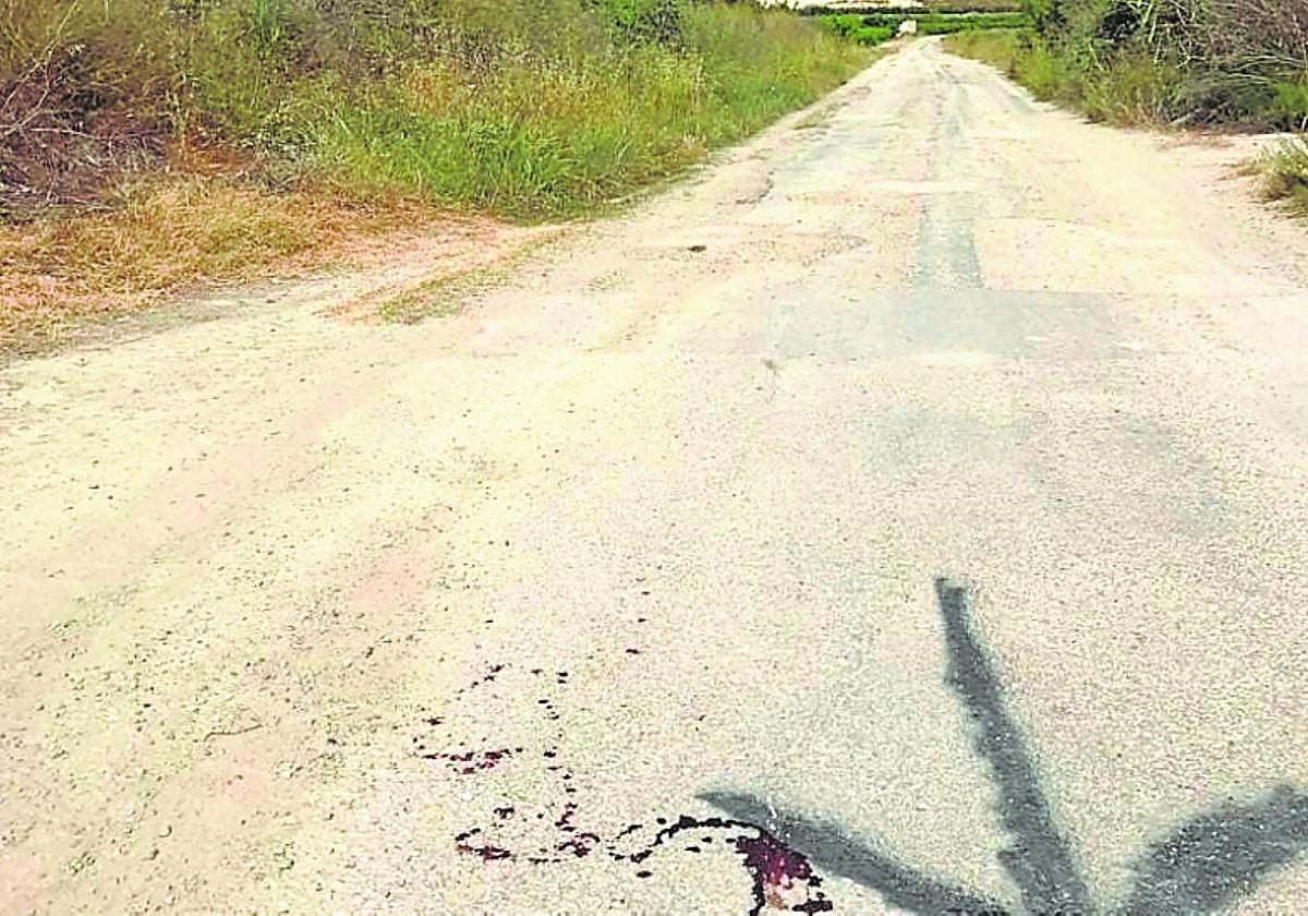 Restos de sangre en un camino de uno de los ciclistas accidentados.