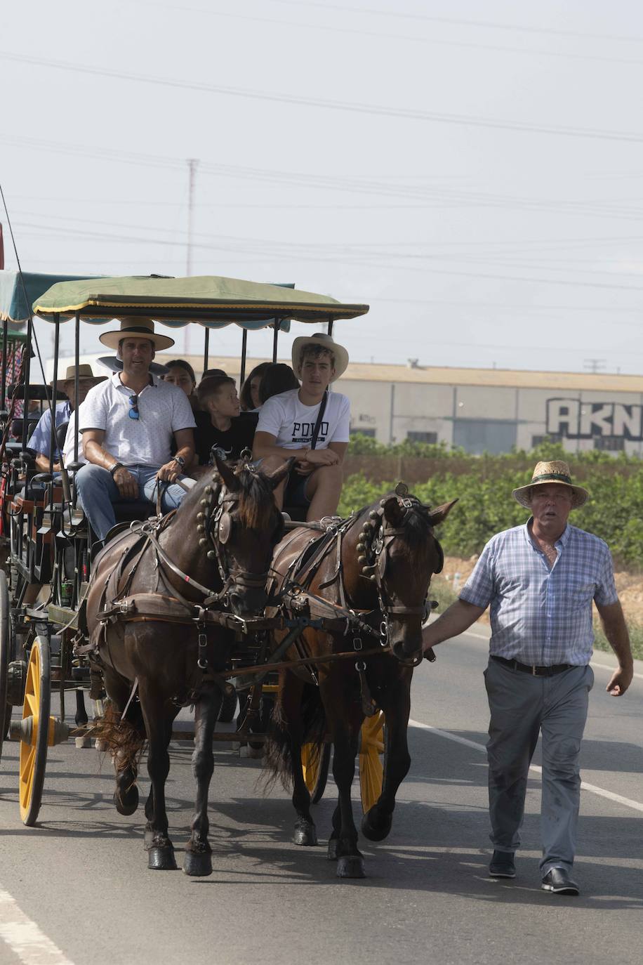 La romería de San Ginés de la Jara en Cartagena, en imágenes