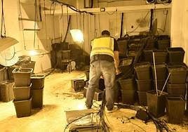 La Policía Nacional en el registro de la plantación de Patiño.