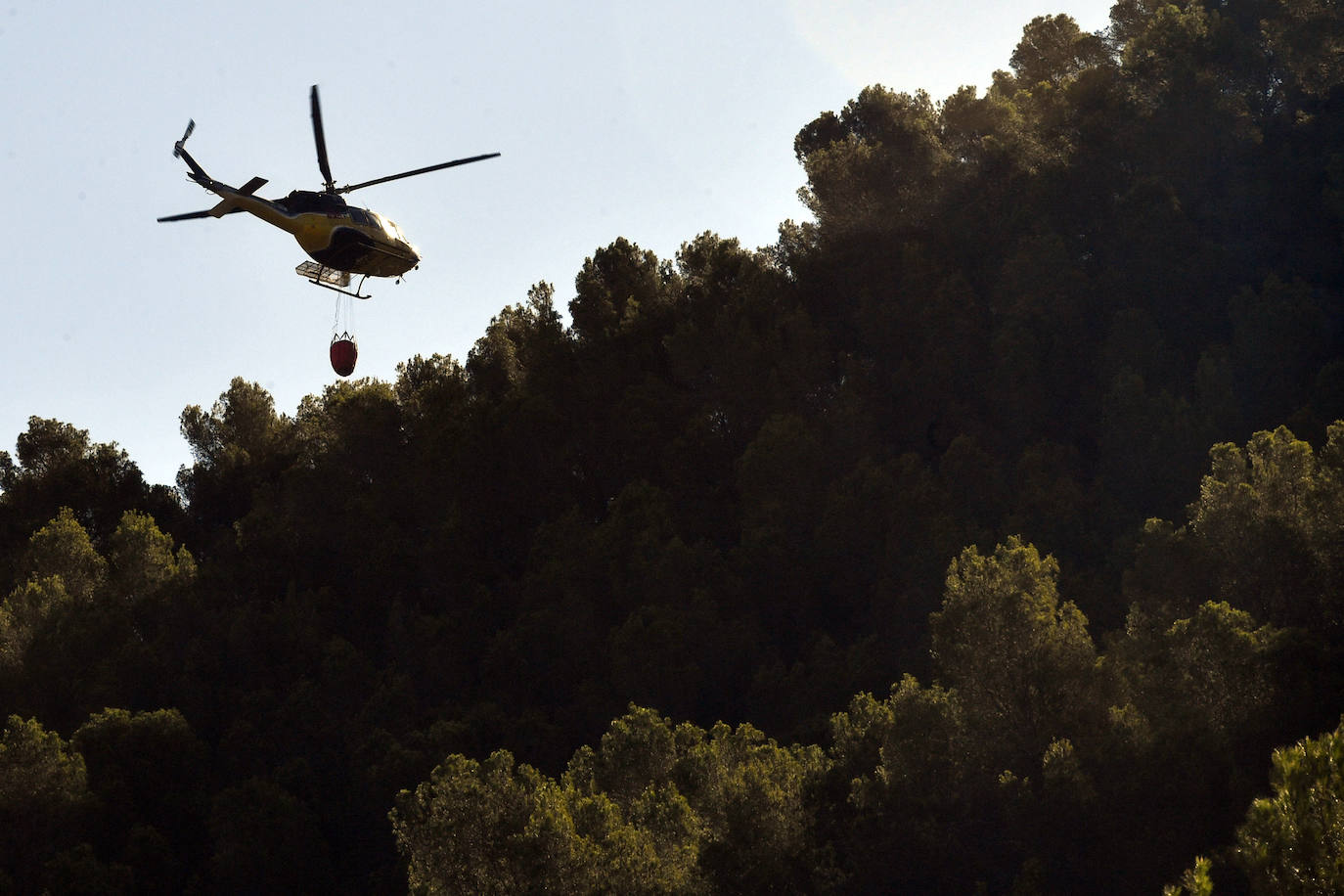 Los trabajos de extinción del incendio forestal en el parque regional del Valle en Murcia, en imágenes