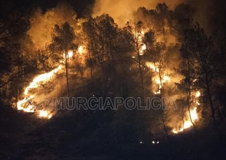 Secondary image 1 - Stabilize the forest fire in the Lost Valley of Murcia