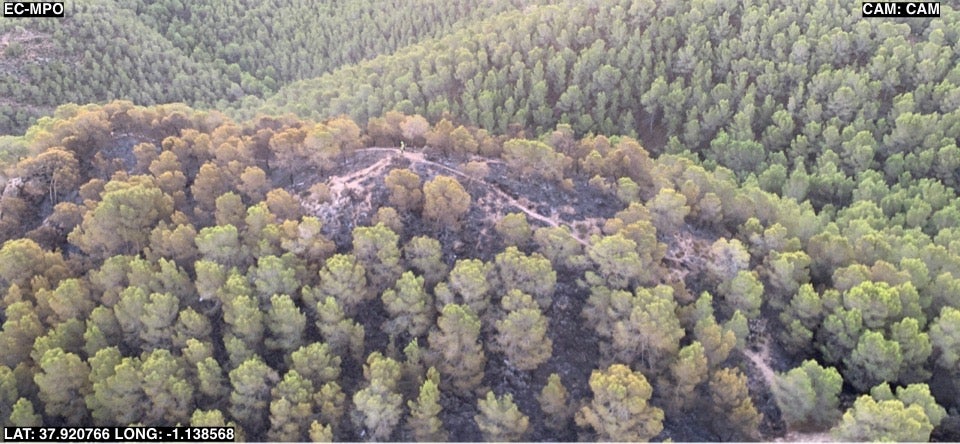 Los trabajos de extinción del incendio forestal en el parque regional del Valle en Murcia, en imágenes
