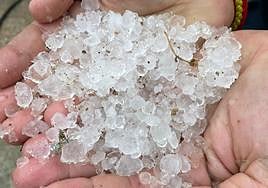 Pedrisco caído este miércoles en Zarzadilla de Totana.