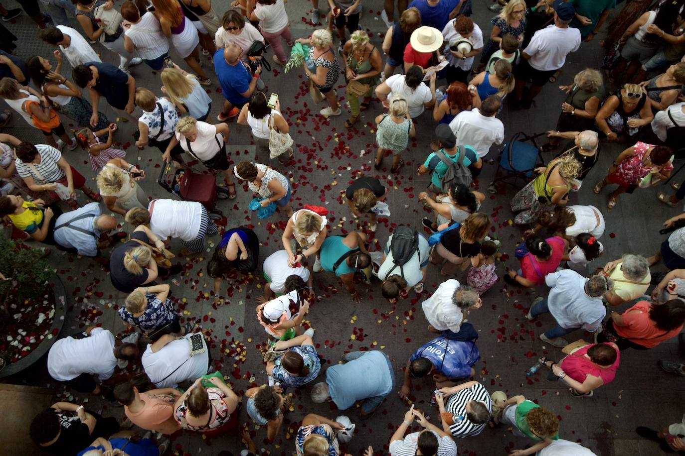 La bajada de la Fuensanta a Murcia, en imágenes
