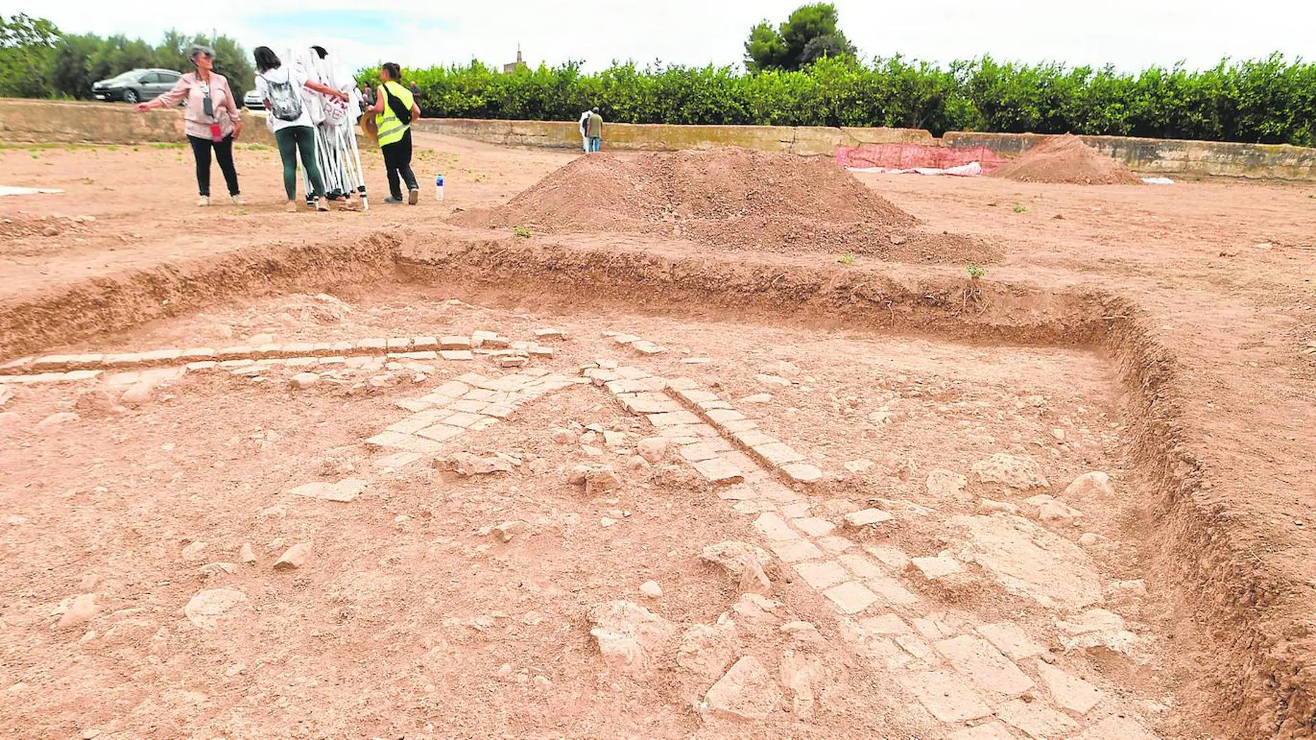 Archaeologists discover an Islamic garden in Murcia in what was believed to be an irrigation pond