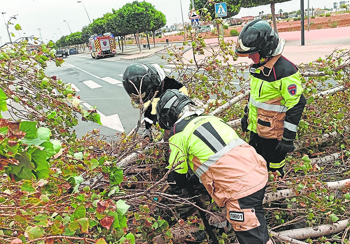 Bomberos de Murcia retiran ramas caídas por los fuertes vientos que azotaron la capital.