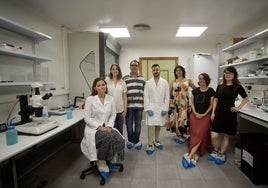 Lola Rodríguez, Elena Naranjo, Victoriano Mulero, Juan Manuel Lozano, María Luisa Cayuela, Diana García y Alicia Martínez, en el laboratorio del Grupo Inmunidad, Inflamación y Cáncer de la UMU, donde se investiga con peces cebra.