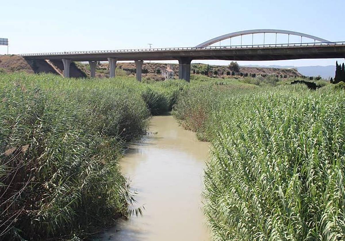 La Vega Media recibe 3,5 millones para la recuperación de la ribera del Segura