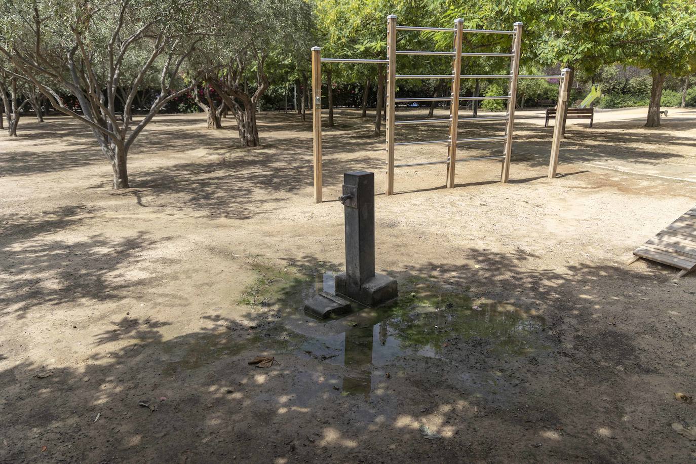 Las imágenes del deterioro del Parque de la Rosa de Cartagena