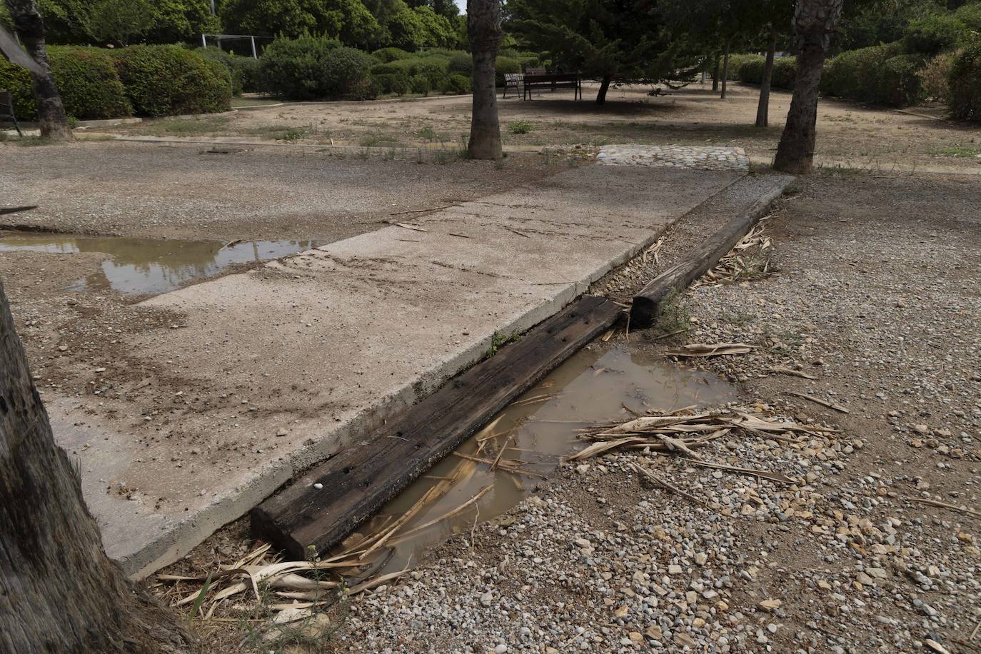 Las imágenes del deterioro del Parque de la Rosa de Cartagena