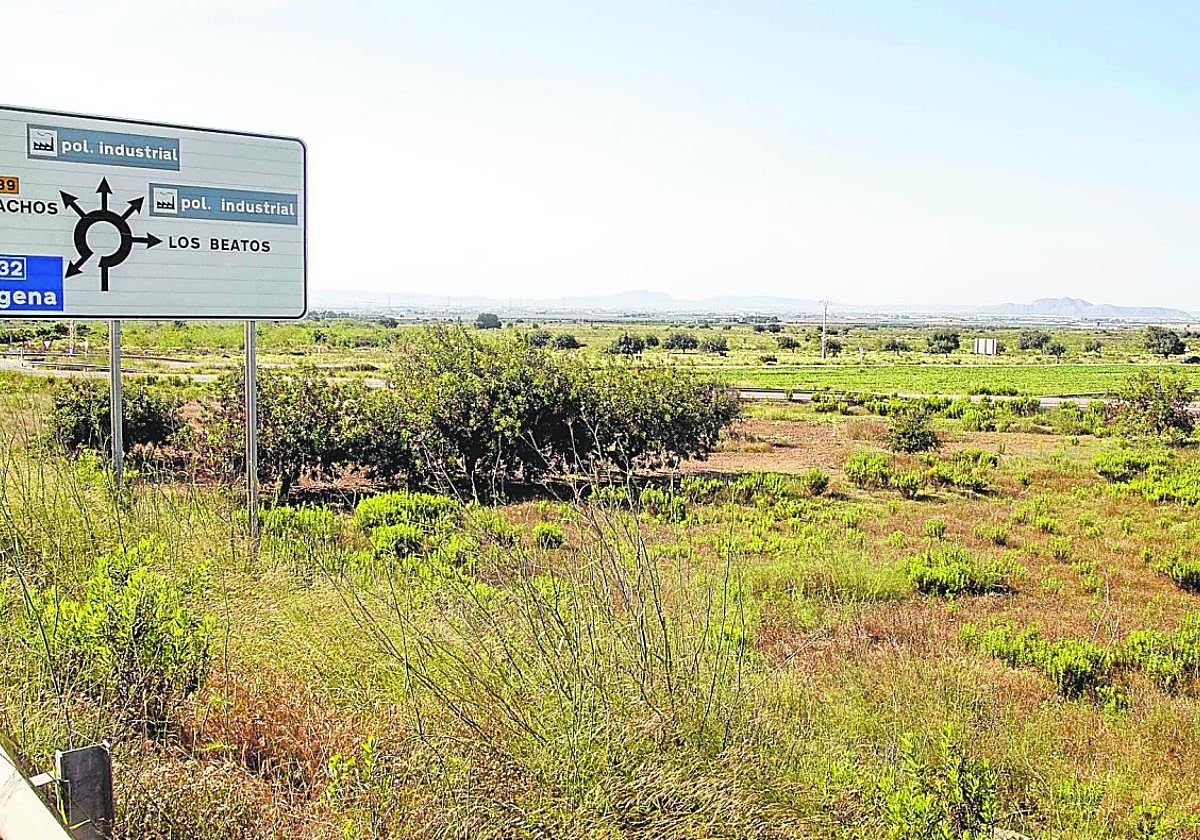 Terrenos del polígono industrial Los Camachos, donde los empresarios tienen previsto construir la zona de actividades logísticas.