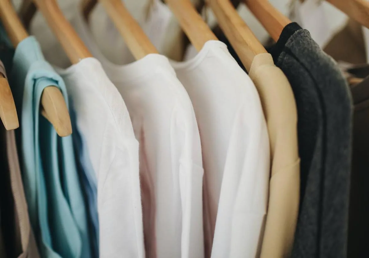 Los trucos que debes seguir para eliminar las polillas de tu ropa