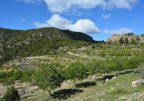 Finca de Hoya Lóbrega, en Moratalla, que ANSE acaba de sumar a su red de reservas naturales.