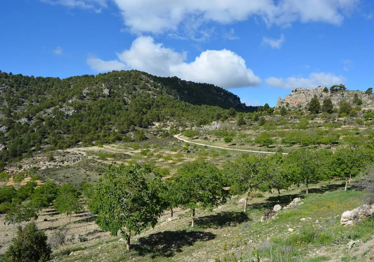 ANSE suma la Sierra de Villafuerte a su red de reservas ecológicas | La  Verdad