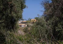 La antigua casa agrícola de La Hoya asoma entre las encinas centenarias que se conservarán.