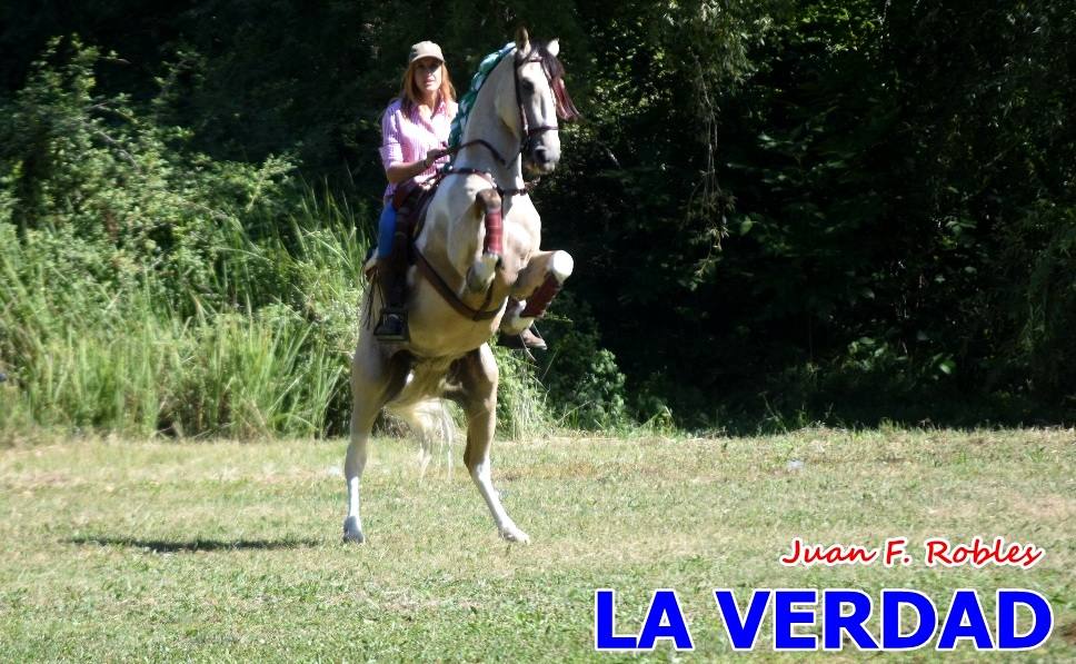 Romería caballista a las Fuentes del Marqués en Caravaca - 05