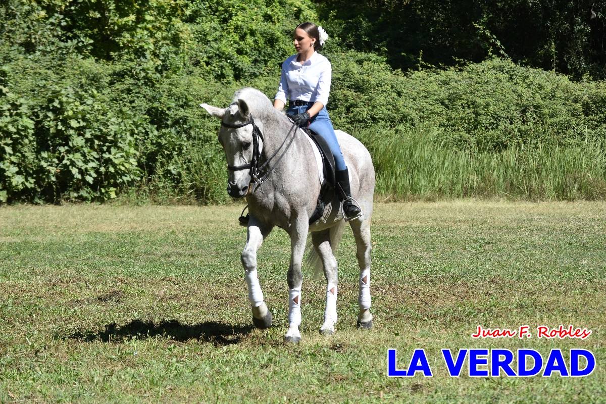 Romería caballista a las Fuentes del Marqués en Caravaca - 05
