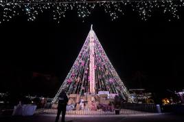 El árbol de Navidad de la plaza Circular, en el año 2017.