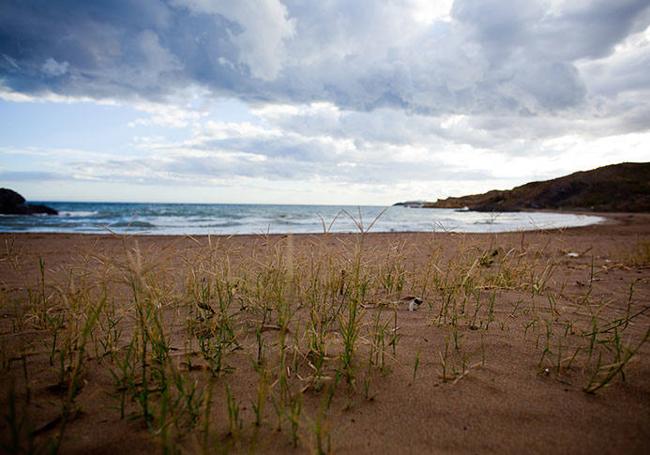 Puntas de Calnegre