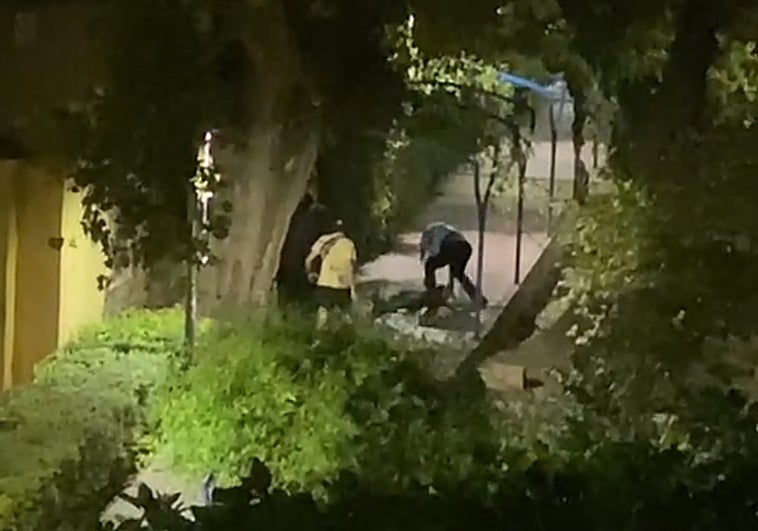 Un joven golpea a otro en el jardín de la Pólvora hace dos fines de semana.