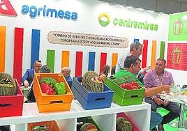 Agrimesa-Centramirsa confía en superar las expectativas con su nueva campaña