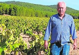 Francisco Carreño, en un campo de viñedos.