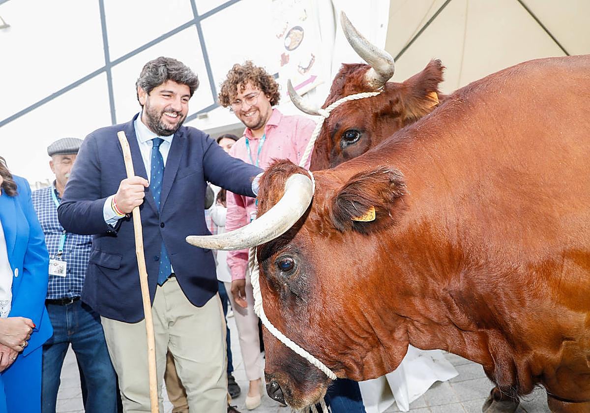 Fernando López Miras visita un estand de Sepor, este lunes, durante la inauguración.