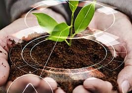 LA VERDAD entrega sus VII Premios Agroalimentarios