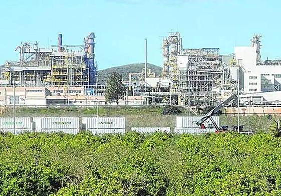 Bancal de limoneros junto a la factoría de Sabic en La Aljorra, en una imagen de archivo.