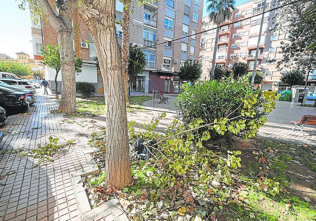 Ramas de un árbol y hojas secas en la calle Jorge Juan, este martes.