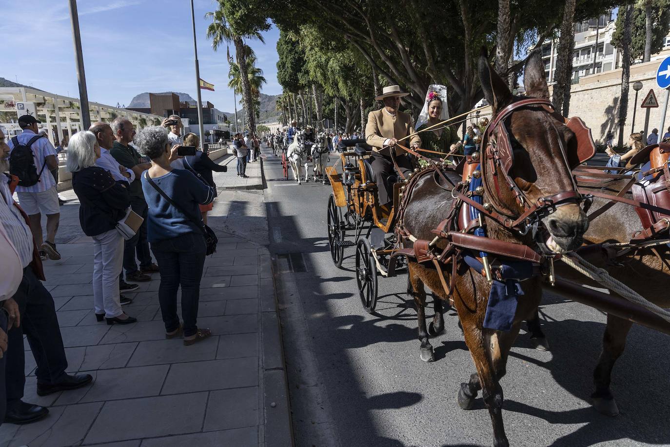 Enganches y carros de época cautivan en el Muelle de Cartagena