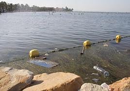 Botellas de plástico y suciedad en el Mar Menor, en una imagen de archivo.
