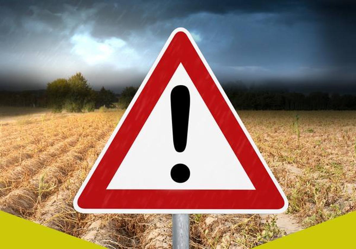 Fecoam insiste en la importancia para el sector agropecuario de contar con la contratación de un seguro