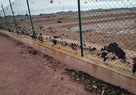Trozos de plástico pegados a una valla por efecto del viento en la urbanización Torre del Obispo.