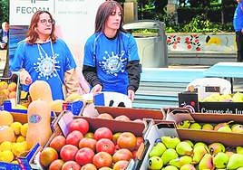 Estand de Fecoam en la última edición dela marcha organizada por Adirmu.