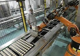 Instalaciones de una empresa de alimentación, en una imagen de archivo.