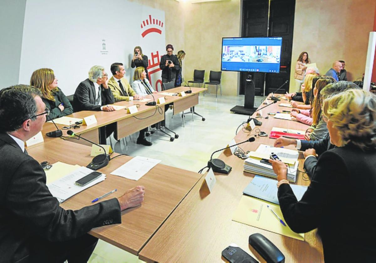 Un momento de la reunión telemática entre los dos regidores.