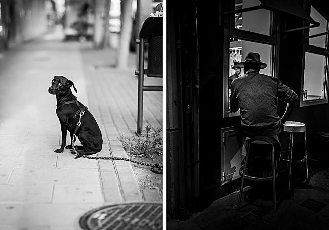 Las mascotas también ocupan su objetivo. Un cliente de La Barra de Morata.
