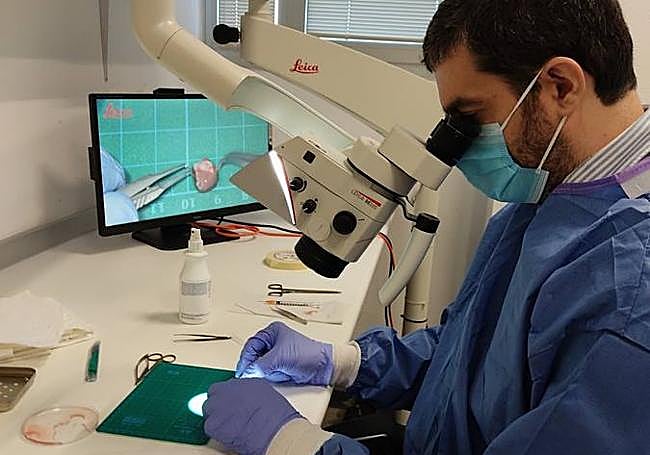 El doctor Antonio Manuel Lax Pérez, en el laboratorio.